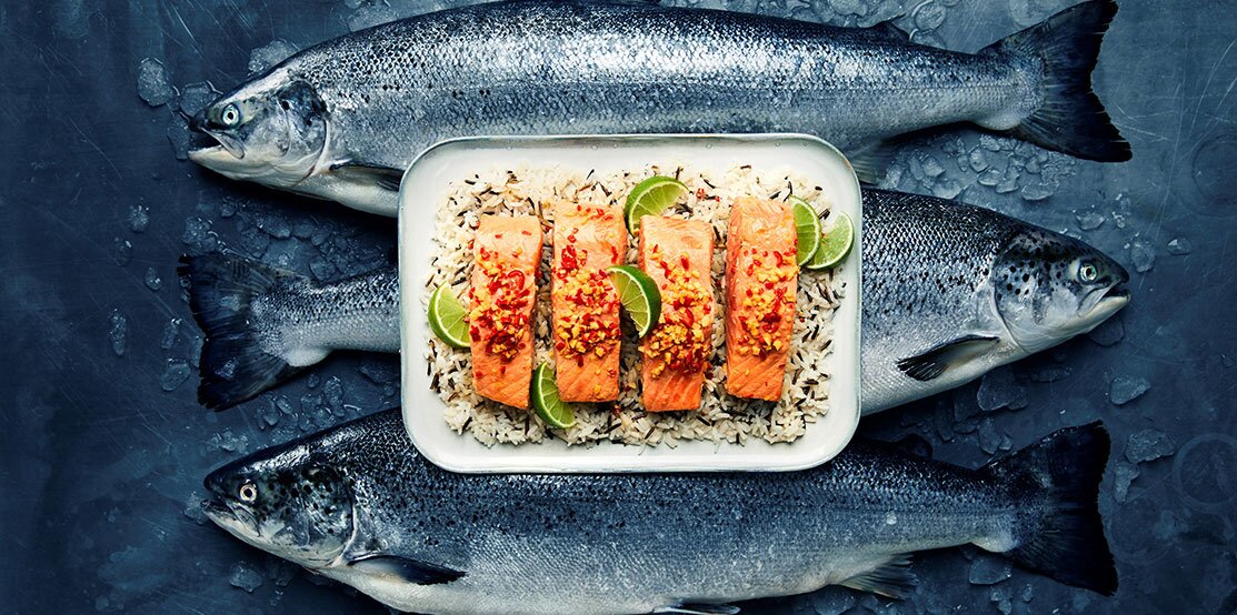 Norwegian Salmon with Tamari Soy Sauce, Chili and Ginger