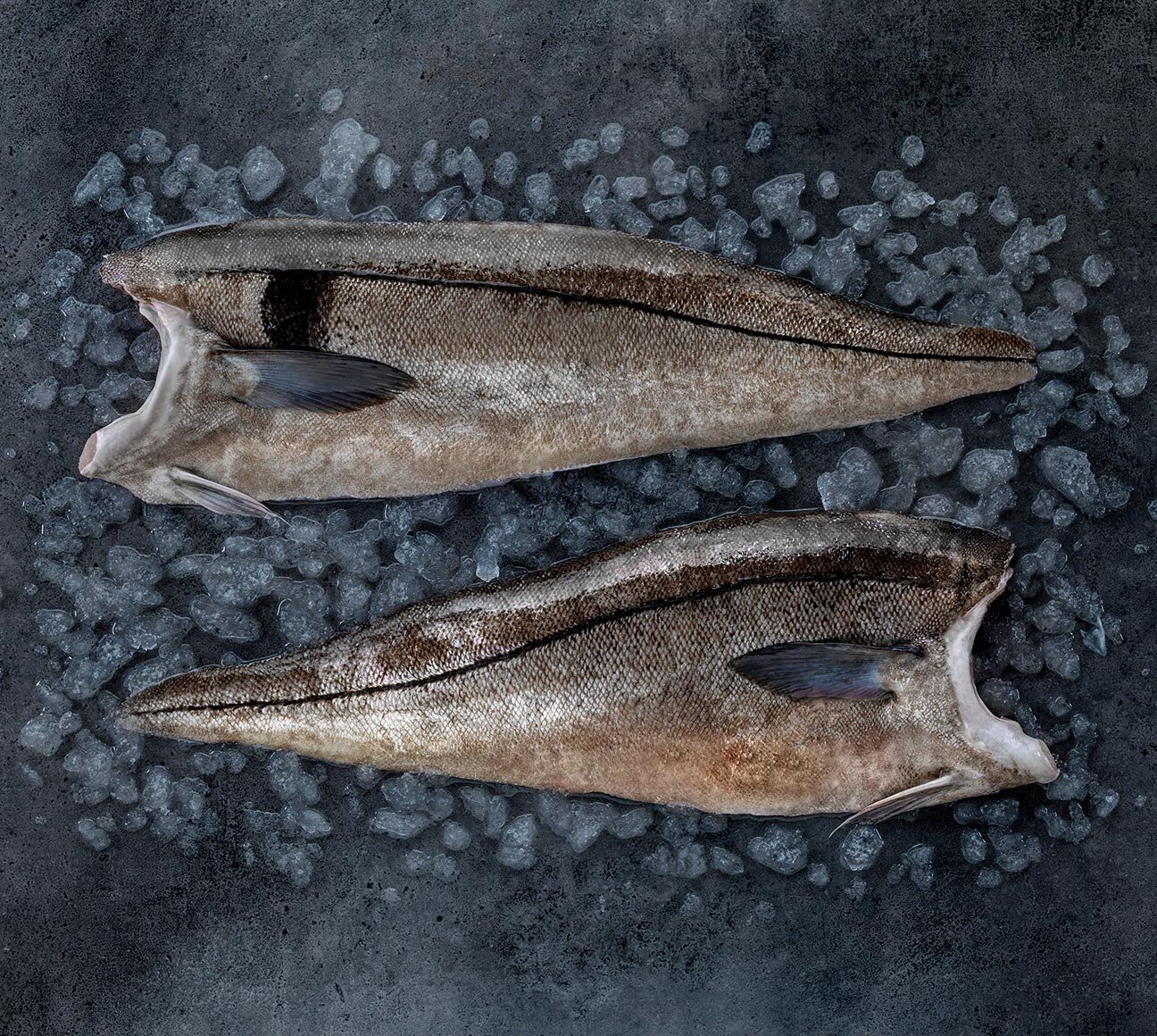 Norwegian haddock on ice
