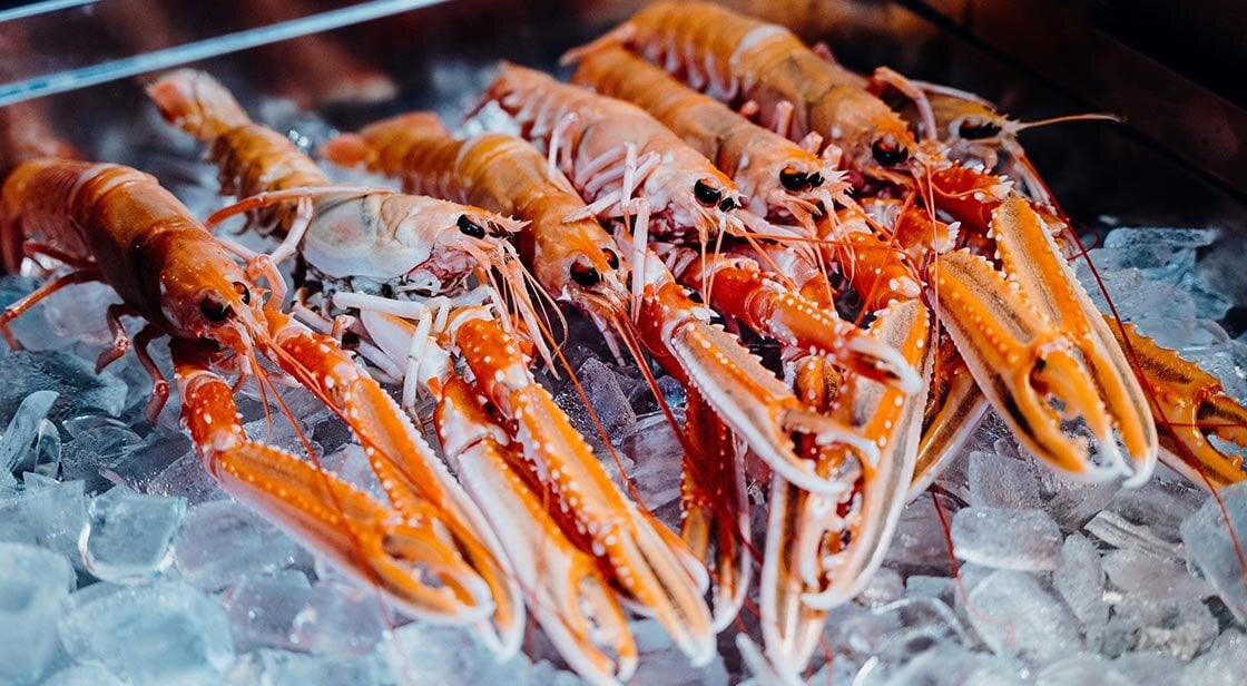 Norwegian lobster
