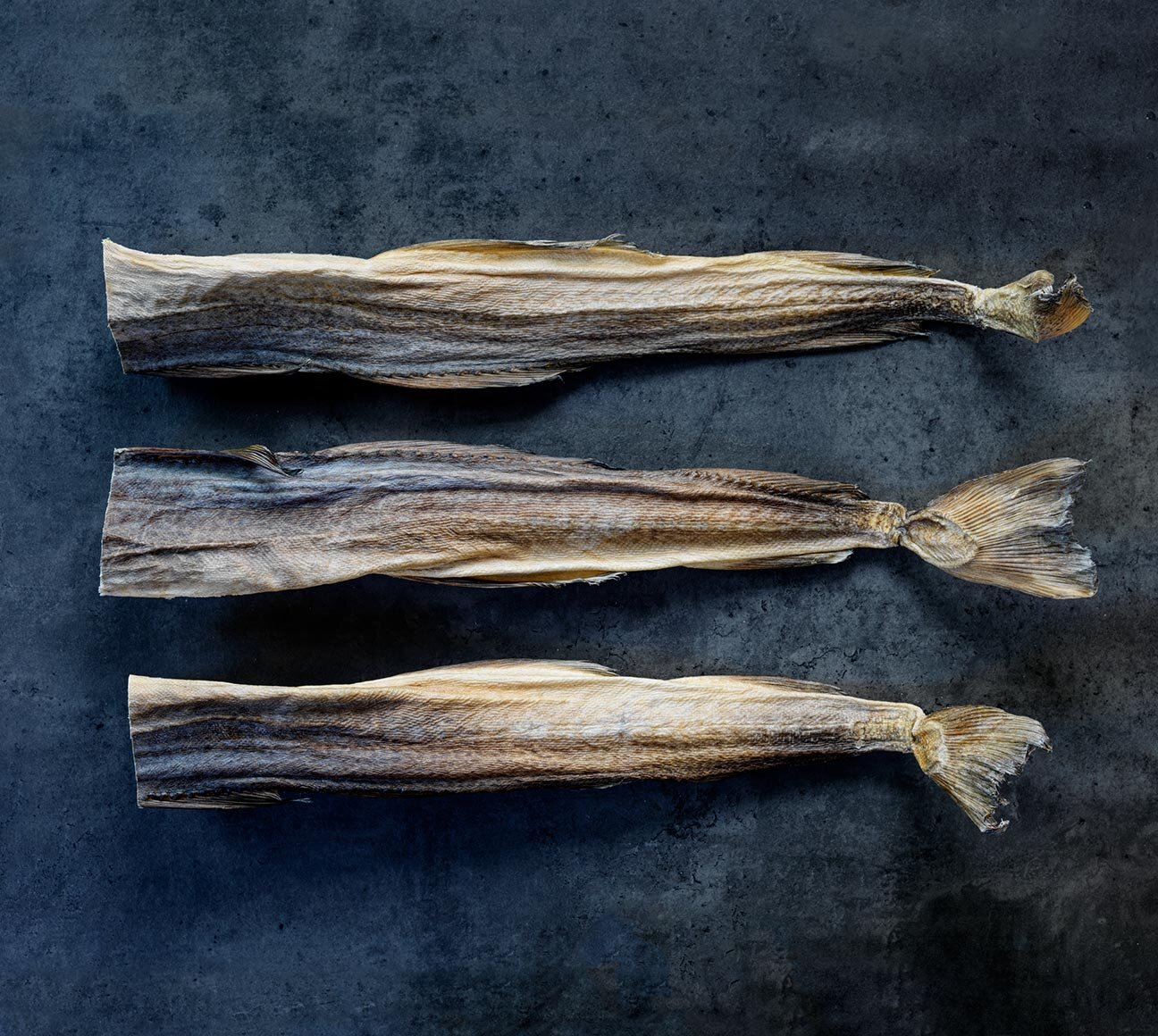 stockfish on dark background