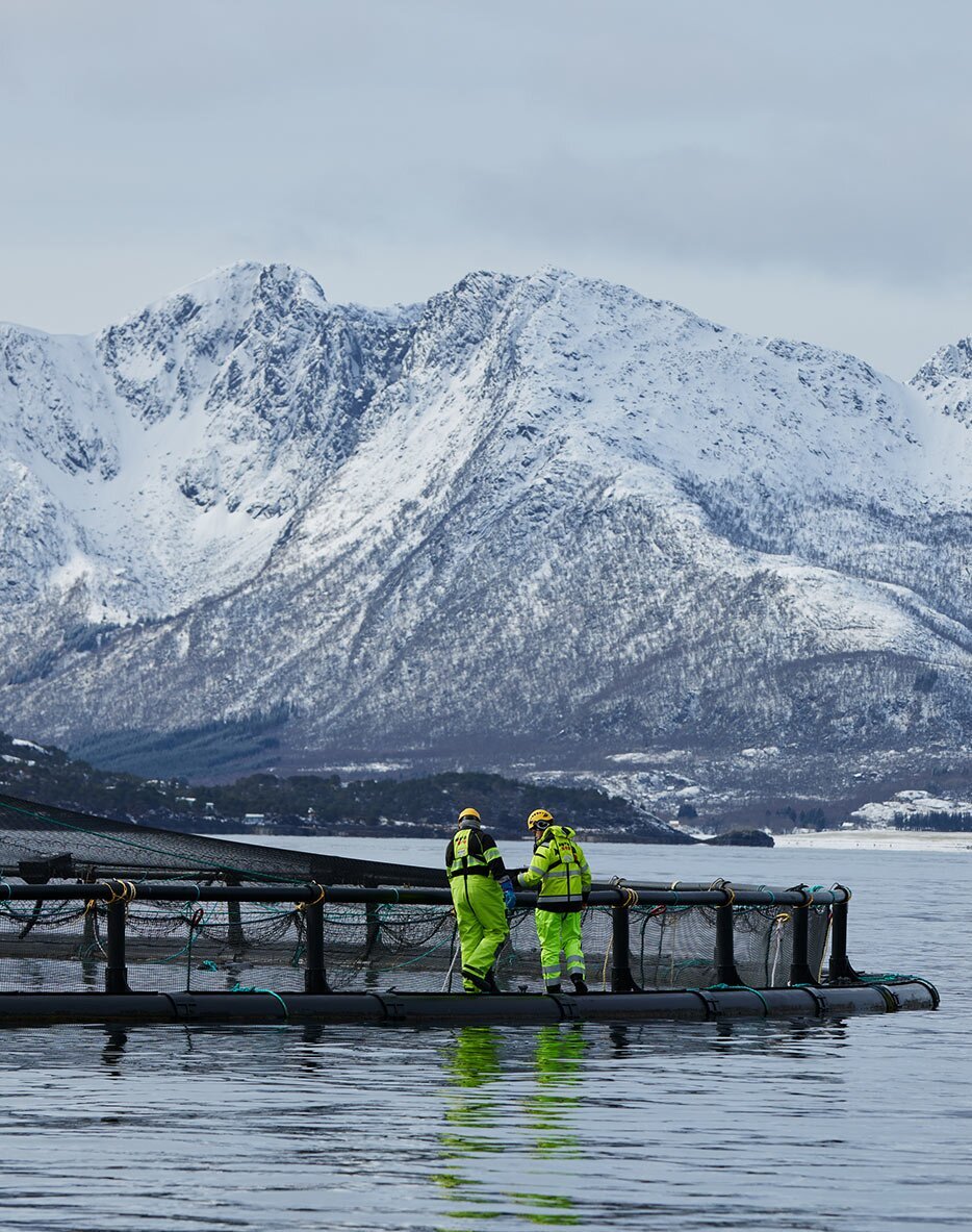 Workers on the side of a sea pen
