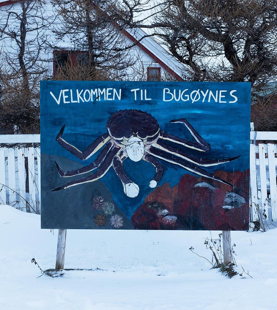 Sign in Bugøynes of a King crab